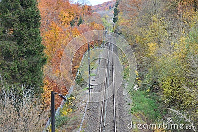 Electrified railroad going through woods Stock Photo