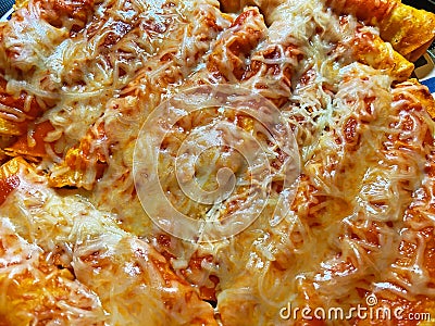 Enchiladas Smothered in Cheese Mexican Food Stock Photo