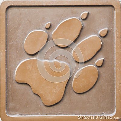 Photo of Engraving of lion footprint Stock Photo