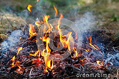 Photo of the fire. Burning fire with tongues of flame. Burning b Stock Photo