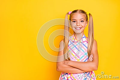 Photo of funny little lady arms crossed good mood toothy smile pretty long tails hairdo cheerful girl wear checkered Stock Photo