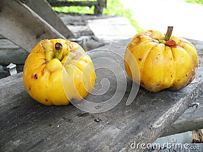 The garcinia 01 Stock Photo