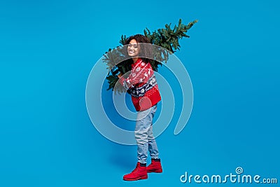 Photo of glad cheerful girl wear trendy printed clothes going store carrying christmas tree isolated on blue color Stock Photo