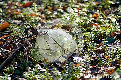 Photo of glass jar in a landfill Stock Photo