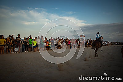 Horse running in the beach Editorial Stock Photo