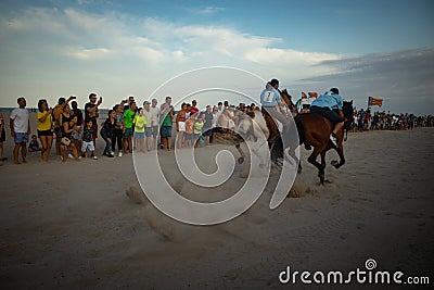 Horses running in the beach Editorial Stock Photo