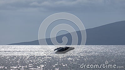 Hump Back Whale Breaching Stock Photo