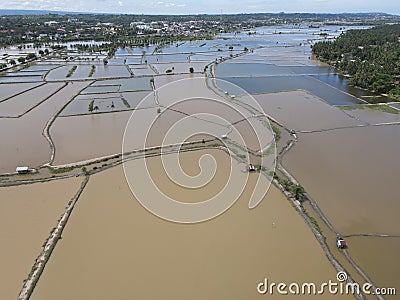 Photo of Hundreds of Hectares of Ponds in Aceh Editorial Stock Photo