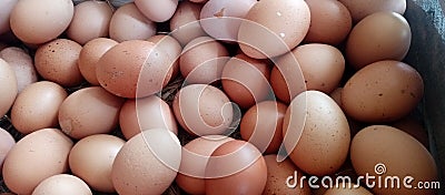 Photo illustration of a pile of eggs Cartoon Illustration