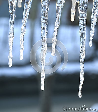 Photo image with spring icicles. Abstract cold background Stock Photo