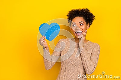 Photo of impressed millennial brunette lady hold look heart wear sweater isolated on yellow color background Stock Photo