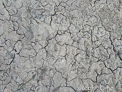 Photo of an infertile dry land in indian village field Stock Photo