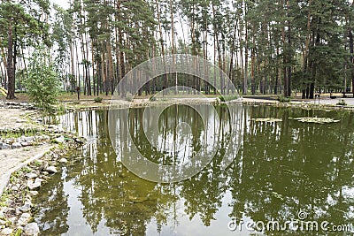 Photo lake in the forest, beautiful, background Stock Photo