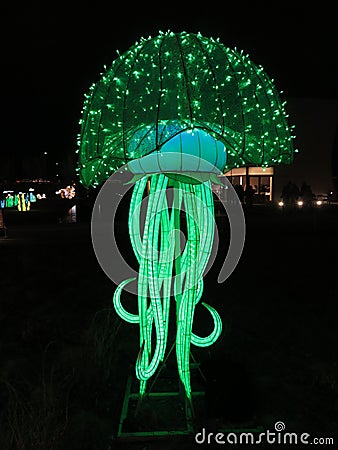 Green Jelly Fish at Night Editorial Stock Photo