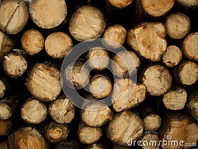 Photo of logs of fire wood Stock Photo