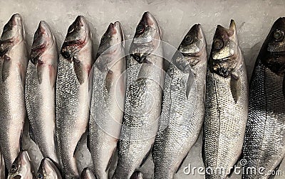 Photo lots of fresh fish on the counter supermarket Stock Photo