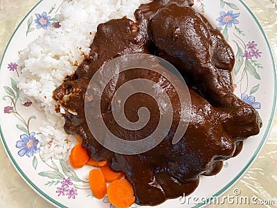 Chicken Drenched in Brown Mole Sauce Stock Photo