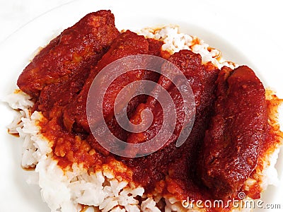 Pork Loins in a Spicy Red Sauce Mexican Food Stock Photo