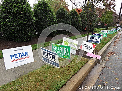 Long Row of Midterm Election Signs Editorial Stock Photo