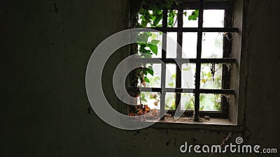 Old abandoned window with cobwebs in an old house Stock Photo