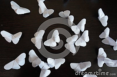 Photo paper origami butterflies Stock Photo