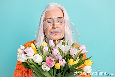 Photo of peaceful charming elderly woman smell flowers tulips wear orange sweater isolated on teal color background Stock Photo