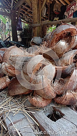 a photo of peeling coconut skin in a village house Stock Photo