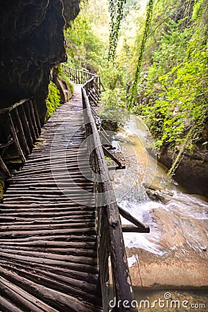 Pathway Wooden Footbridge Stock Photo