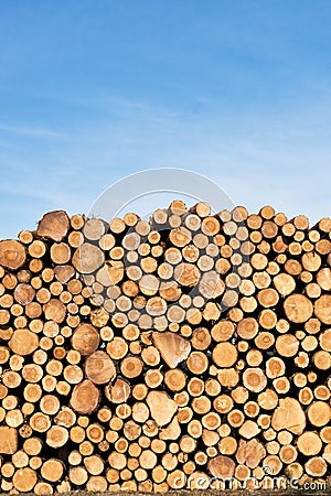 Photo of a pile of natural wooden logs Stock Photo