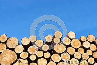 Photo of a pile of natural wooden logs Stock Photo