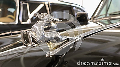 Photo of a prancing deer mascot with reflection on the hood of a black Soviet classic legendary retro car. Chromed metal symbol of Editorial Stock Photo