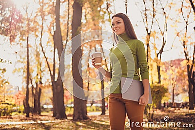 Photo of pretty lovely lady walk hold laptop drink coffee smiling see friend another corner autumn park heading towards Stock Photo