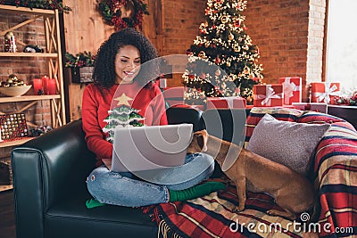 Photo of pretty sweet dark skin woman dressed red sweater showing small friend modern gadget smiling indoors house home Stock Photo