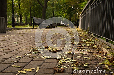 Photo of quiet place alley in the autumn park in Kiev. Relax mood, silence, no people around, only colorful golden leaves. Clean Stock Photo