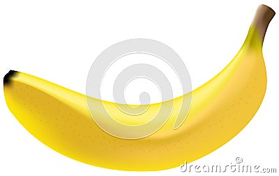 Photo Realistic Banana Vector Illustration