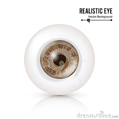 Photo Realistic Eyeball. Human Retina. Vector Illustration Of 3d Human Glossy Eye With Shadow And Reflection. Front View Vector Illustration