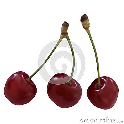 Photorealistic Cherry Set Cartoon Illustration