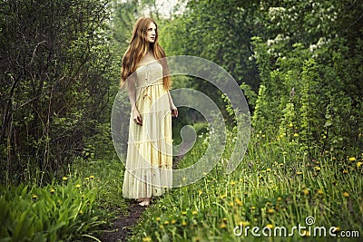 Photo of romantic woman in fairy forest Stock Photo