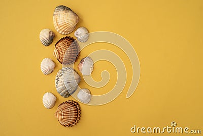 Photo of sea shells. Yellow background. Summer concept. Stock Photo