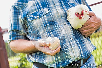 Senior farmer wearing carrying hen and fresh eggs in barn Stock Photo