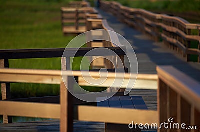 Wooden boardwalk over marshland lit by sunlight in the golden hour. Stock Photo