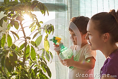 Photo of small kid holds spray bottle with water, waters green plant at home, helps his mother about house. Young housewife sprays Stock Photo