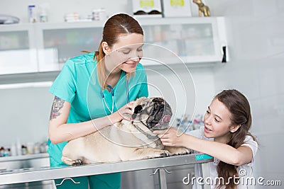 Smiling young veterinary doctor and girl stroking pug at hospital Stock Photo