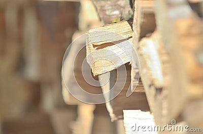 Photo of a stack of firewood in the sun Stock Photo