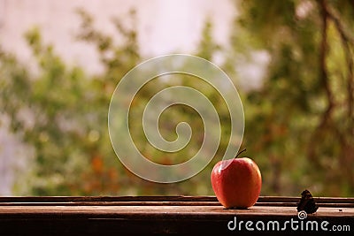 Background. Summer. Butterfly and fly next to a red apple. Stock Photo