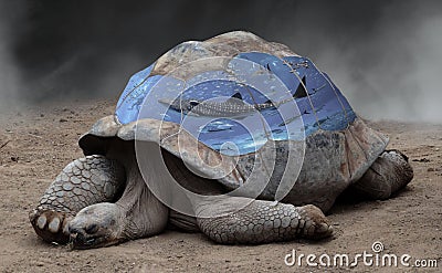 Photo surrealism showing a turtle with aquarium in its shell Stock Photo