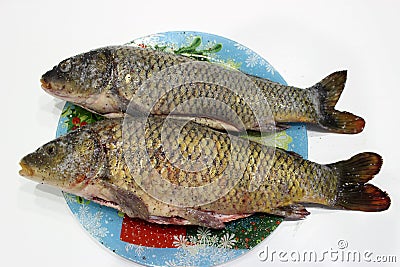 Two gutted, sprinkled with salt and pepper carp lie on a colored dish. Stock Photo