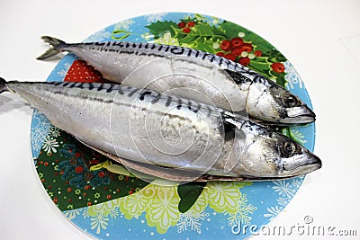 Two gutted mackerel are on a color dish Stock Photo