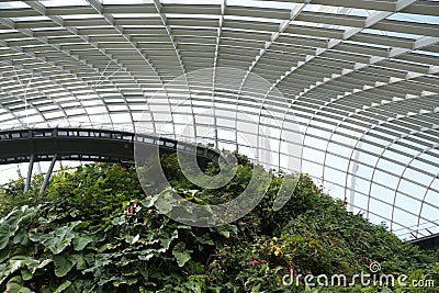 The observation platforms within the main tropical mountain in Cloud Forest Editorial Stock Photo