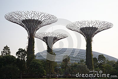 A photo taken on the Supertree structures at Singapore Gardens by the Bay Editorial Stock Photo